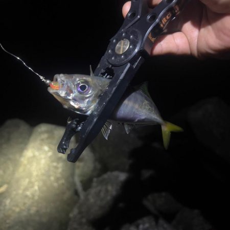 激渋ライトゲーム