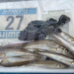 7目達成シロギスタ