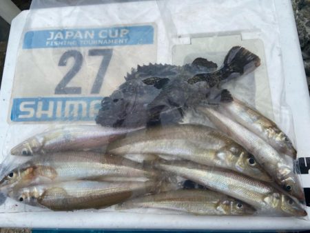 7目達成シロギスタ