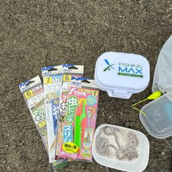 雨上がりのシロギス釣り