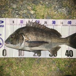 ナイトチニング