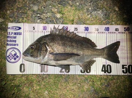 ナイトチニング