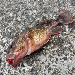 パターン掴めず…