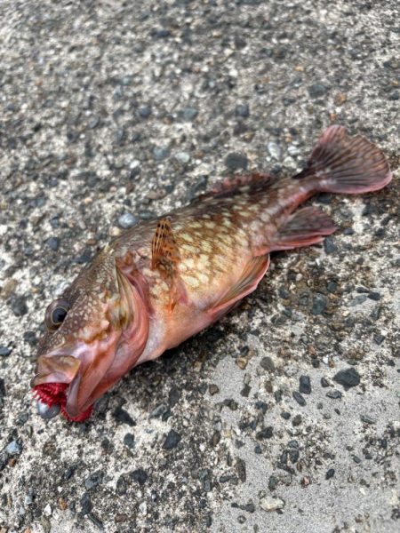 パターン掴めず…