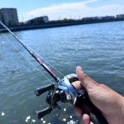 巷で話題のあのワームでチニング検証！