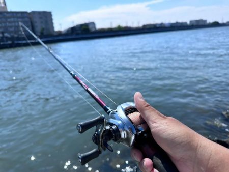 巷で話題のあのワームでチニング検証！