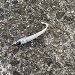 ふら〜っと帰ってきた!