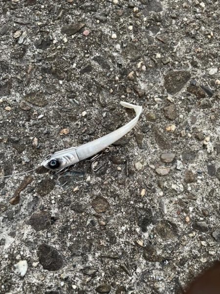 ふら〜っと帰ってきた!