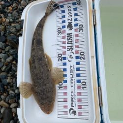 25カルディア入魂