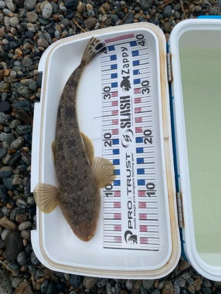 25カルディア入魂