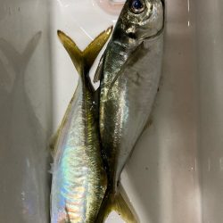 悪い日もあるよね( ´∀｀)