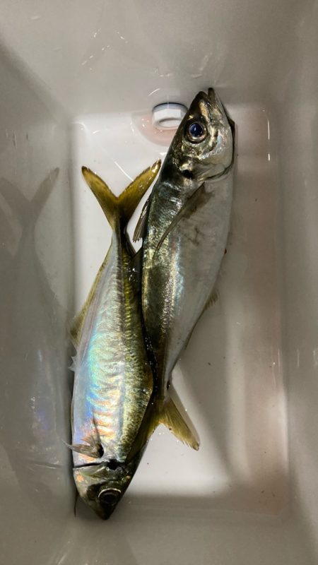 悪い日もあるよね( ´∀｀)