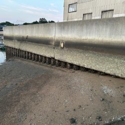 チニングデイゲーム