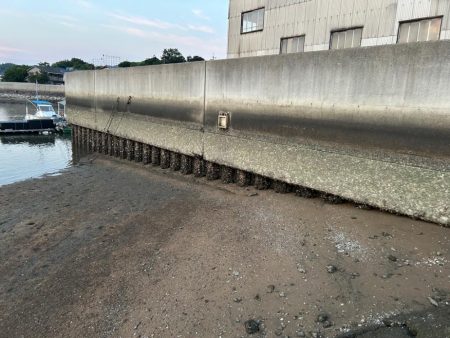 チニングデイゲーム