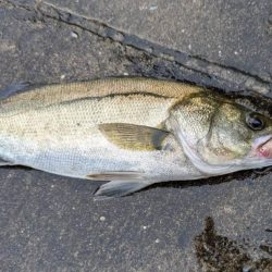 雨のなか渾身の一枚