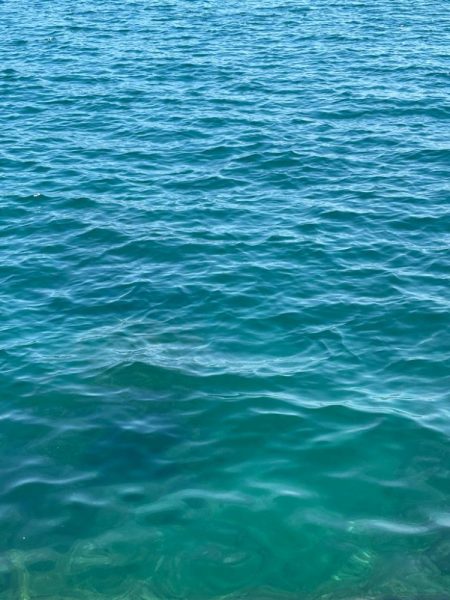 激渋エギングでもボウズ逃れ