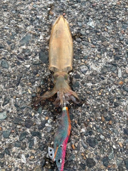 暑い…早々に納竿