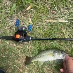 今年初バス⭐︎