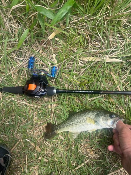 今年初バス⭐︎