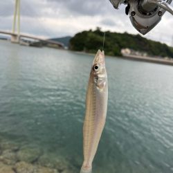 キスちょい投げ