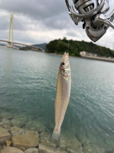 キスちょい投げ