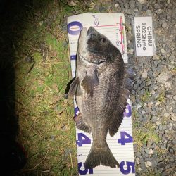 ナイトチニング