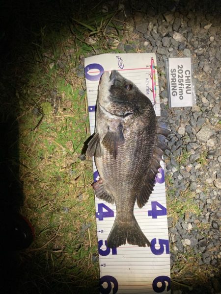 ナイトチニング