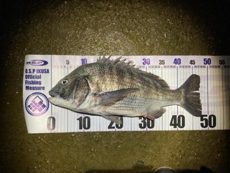 ナイトチニング