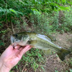 久しぶりの釣行
