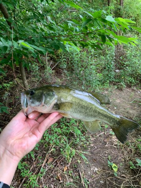 久しぶりの釣行