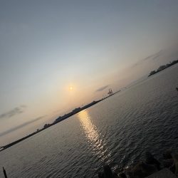 湾奥TAKO入ってきましたね🐙