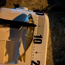 神戸空港4週連続