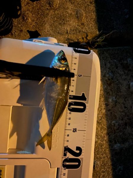 神戸空港4週連続