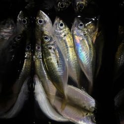 アジなめろうの手巻き寿司