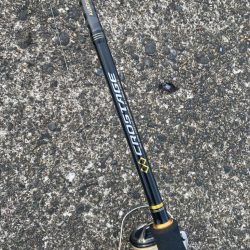 エギングのついで