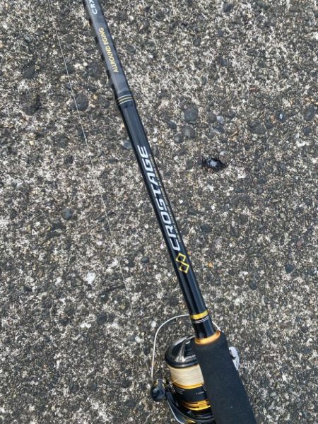 エギングのついで