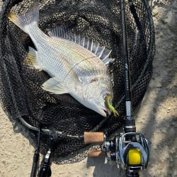 中々の入れ食いただし場所による