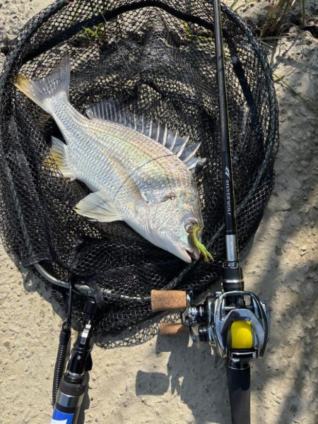 中々の入れ食いただし場所による