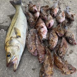 ロックフィッシング　楽しめました