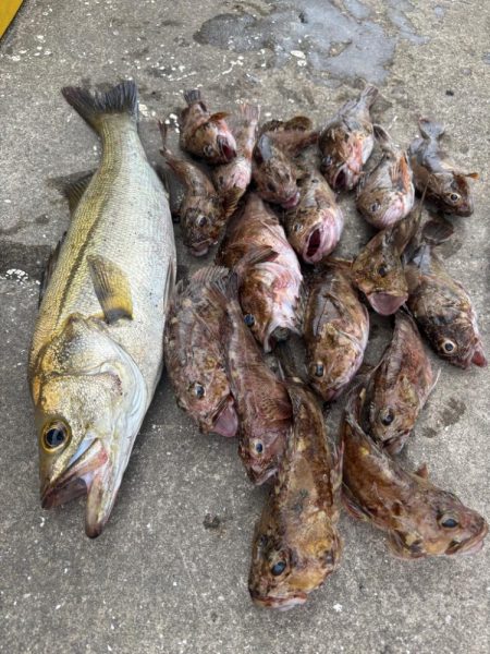 ロックフィッシング　楽しめました