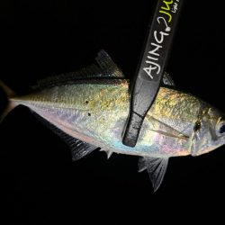 足元ポロリの原因は何⁇