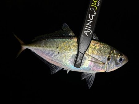 足元ポロリの原因は何⁇