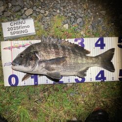 ナイトチニング