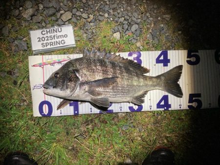 ナイトチニング