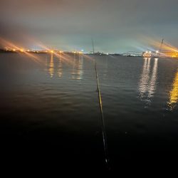 アジング修行！