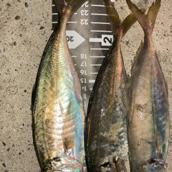 雨上がりの隙に