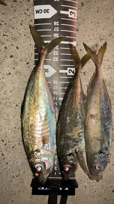 雨上がりの隙に