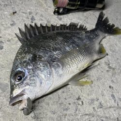 南港　小物調査