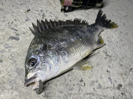 南港　小物調査