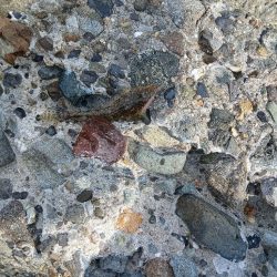 渋すぎるキス!!